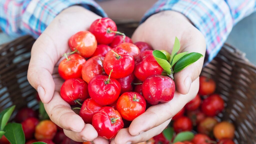 What Are The Side Effects Of Acerola